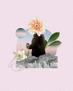 Blossom vista